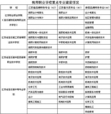 2017连云港公办大专学校有哪些呢？201？连云港教育招生合作机构