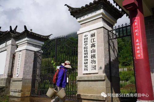 丽江植物园门票多少？丽江成人教育招生简章