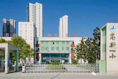 淄博安康家园小区上小学去哪里上？安康市义务教育招生入学