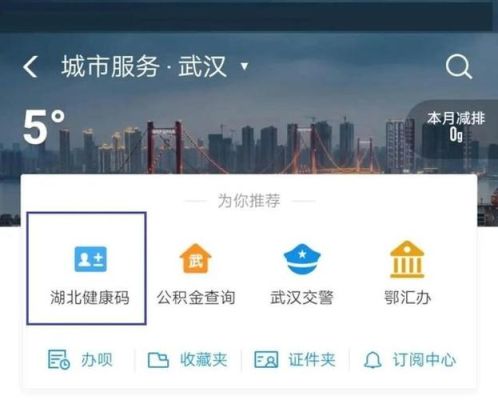 武汉小孩健康码认证不了怎么办？（武汉儿童教育招生机构电话）