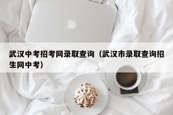武汉中考录取结果查询方式？（湖北省教育考试招生网）