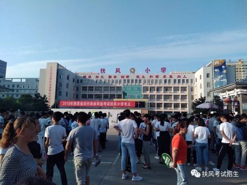 扶风小学2023新生入学报名？（扶风县教育招生考试网站）