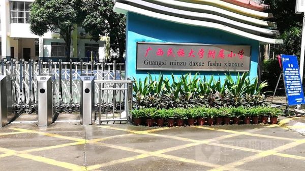 南宁民大附小学校怎么样？（广西远程教育2020招生）
