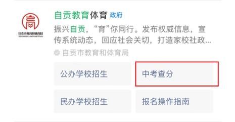 四川自贡中考成绩如何查询？（自贡教育服务招生平台官网）