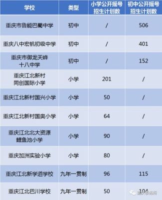 2023年重庆小升初如何摇号？（重庆教育局招生门户网站）