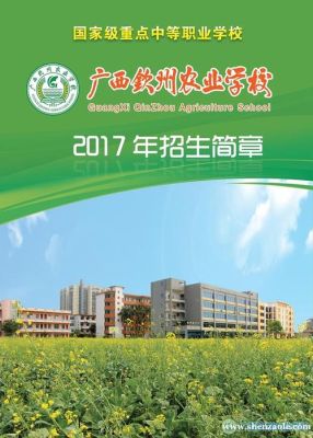 钦州农校2020招生简章？（钦州市教育招生公司地址）
