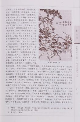 三国演义里的本初指的是谁？（商水县成人教育大专招生）