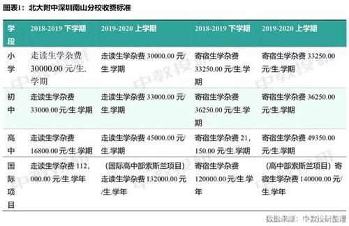 南山小学2019年录取分数？（济南南山区义务教育招生）