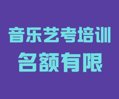 芜湖三大培训机构？（文登网校音乐教育招生简章）