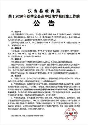 新河实验学校高中部2020年招生？（教育机构高中招生活动方案）