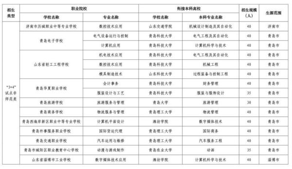 本科对口中职是什么意思？（中等职业教育招生现象研究）
