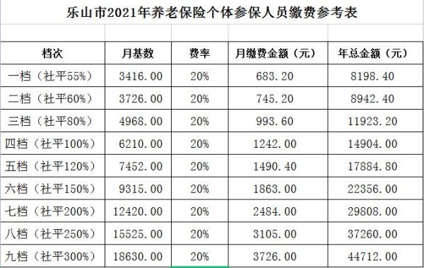 2021年四川养老保险缴费截止时间？（四川基础教育招生考试）