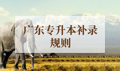 广东专插本补录条件？（广东省教育招生政策研究）