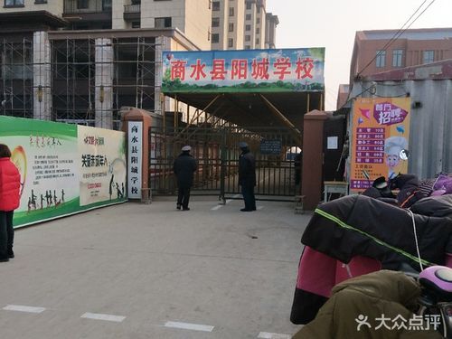 商水阳城学校插班生怎么报名？（商水县教育局招生科）