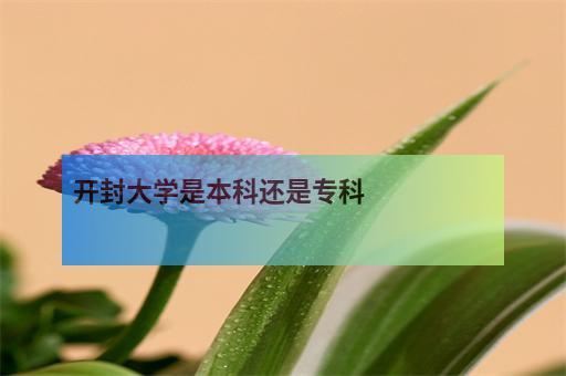 为什么报本科学院没有专科？（教育部取消专科招生了吗）