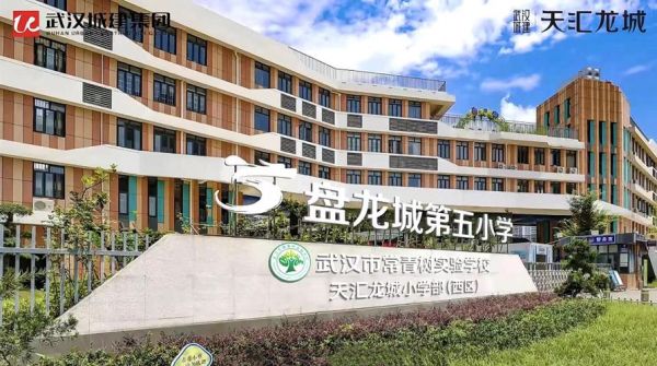 武汉盘龙城小学新生入学条件？（教育城小学2016年招生）