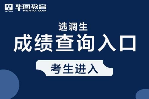 如何查选调生考试每个岗位报了多少人？（怎么在教育平台查招生人数）