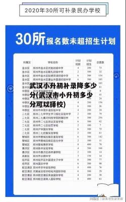 武汉小升初必须具备哪些条件？（武汉市小学生体育教育招生）