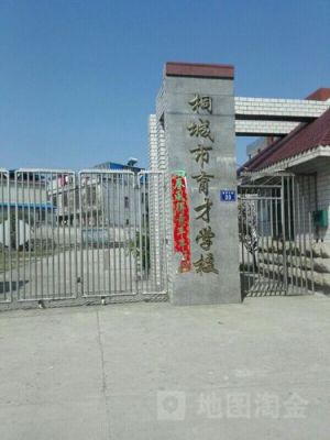 桐城市育才学校怎么样？（桐城特殊教育学校招生简章）