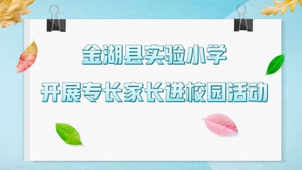 上金湖实验小学有什么要求？（金湖县义务教育招生平台）