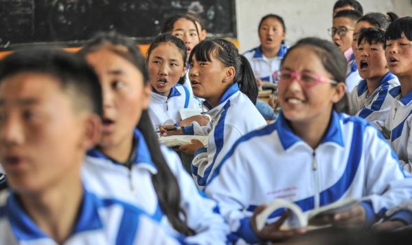 西藏十五年义务教育分别是？（农牧区义务教育学校招生）