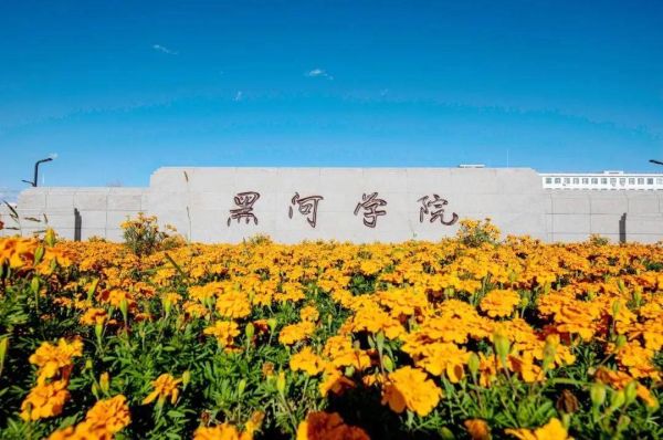 黑河市尽有什么大专学校？（黑河学院国际教育学院招生）