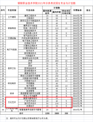 铜陵职业技术学院选专业要多少分？（铜官区国际教育招生网）