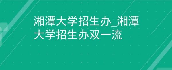 怎么办理双牌照？（湖南澳双教育科技招生办）