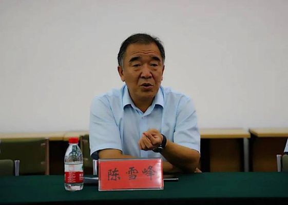 陈雪峰的介绍？（临沂教育局招生考试院领导）