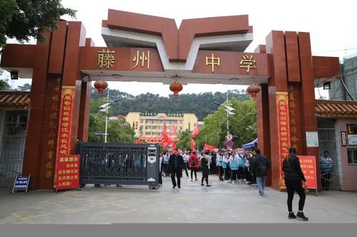 2023年梧州藤县中考录取分数线？（梧州藤县教育局招生办主任）