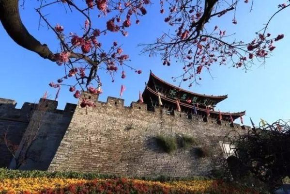 大理古城的开发历史？（安远县教育招生办在哪儿）