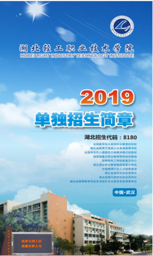 武汉成丰实验学校2020年招生简章？（湖北国际教育学院招生计划）