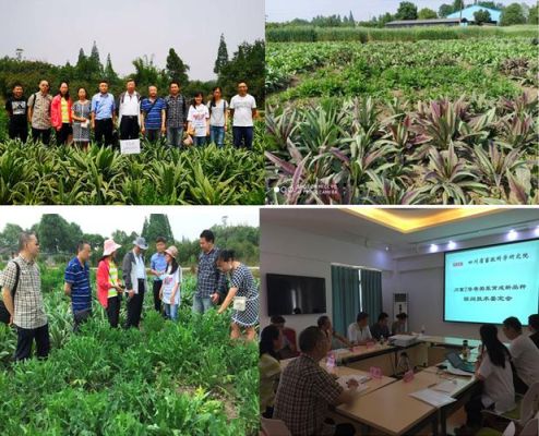 农学新农科试验班主要学什么？（植保教育招生）