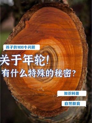 教师轮岗时间多长？（年轮教育 招生）