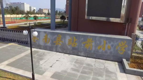 苍南灵溪站前小学地址？（苍南教育小学招生）