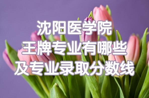 学医高中有哪些学校？（沈阳学诚教育招生）