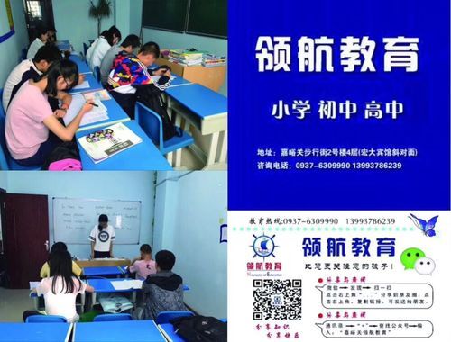 领航教育管理有限公司怎么样？（领航教育招生运营）