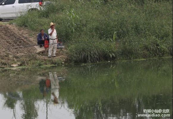 芜湖野钓最佳地点？（芜湖小型教育招生）