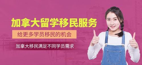 中介跟学校是怎么谈的？（教育培训招生交流）