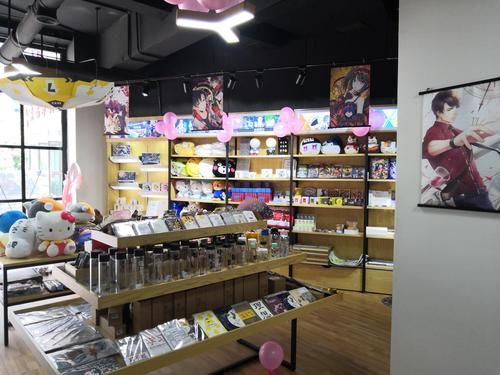 天津市塘沽区哪里有动漫周边店？（塘沽动画教育招生）