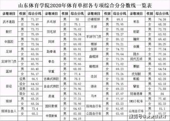 2020年山东体育招生人数？（2020体育教育招生）