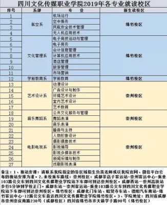 德阳文化传媒职业学院占地面积？（绵竹教育招生政策）