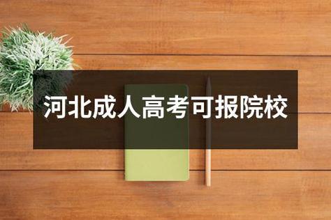 孩子想去衡水上高中怎么报名？（衡水艺术教育招生）