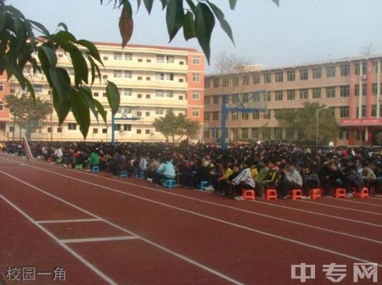 乌杨中学是公办还是民办？（忠县教育招生公司）