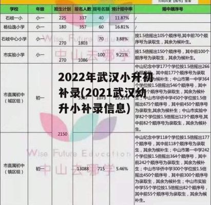 武汉市2021年幼升小人数？（武汉小型教育招生）