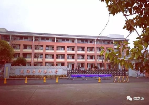 龙游小学哪个好？（龙游 西门 教育 招生）