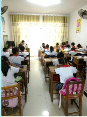 张家界小升初入学条件？（张家界教育招生）