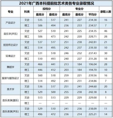 2023年百色学院招生分数线？（教育机构去广西招生）