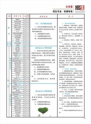 南充青龙山学校2020年招生简章？（南充教育培训招生团队）