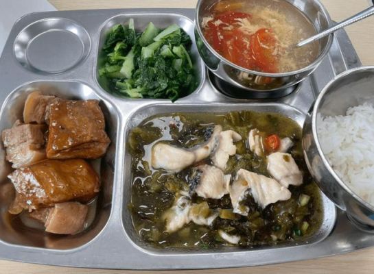 绵阳市小学午餐是预制菜吗？（绵阳小型教育招生外包）
